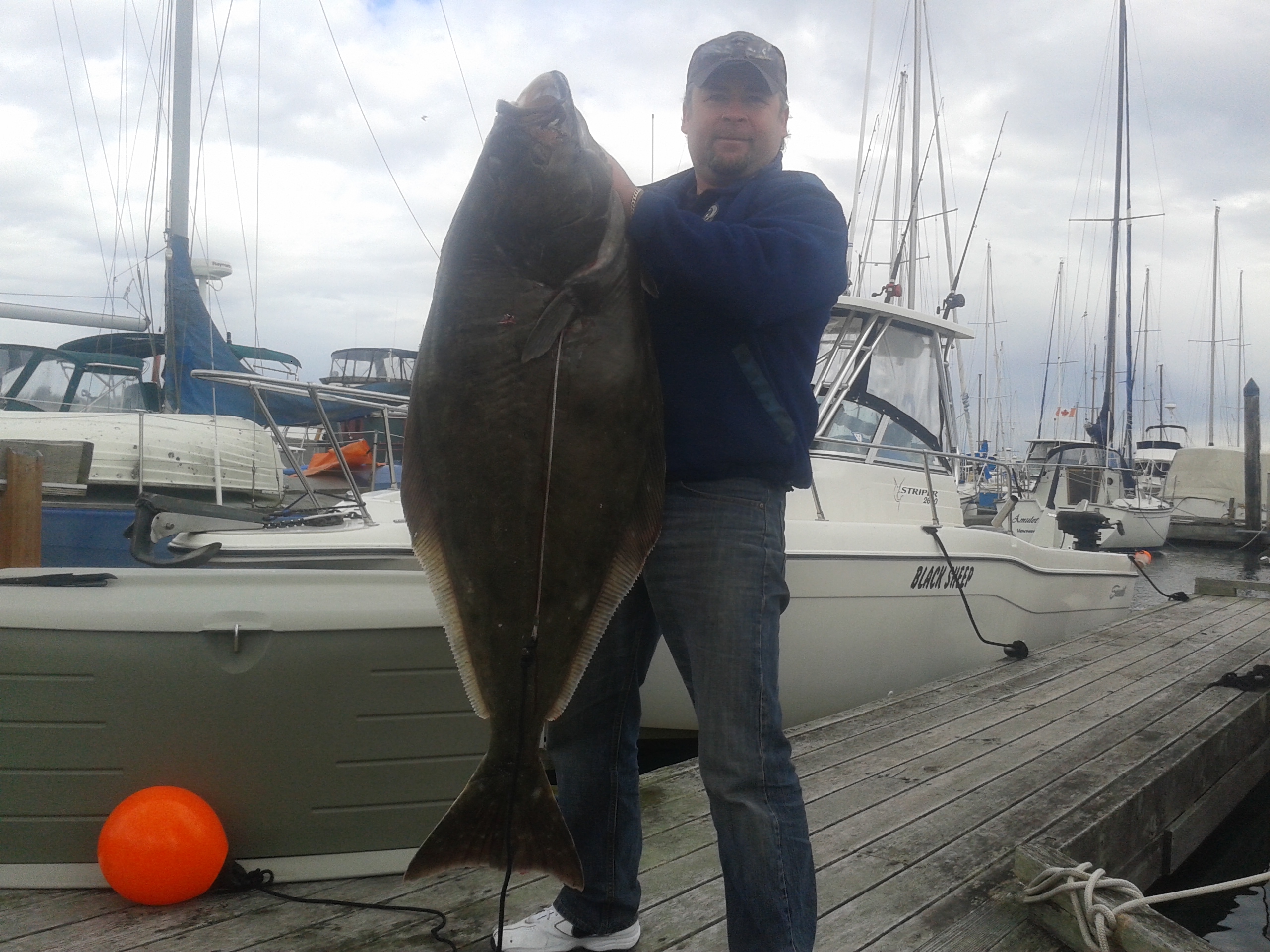 George_large_halibut George_large_halibut